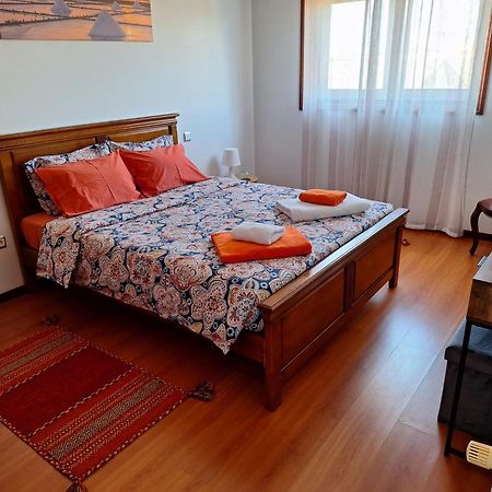 Ana Paula House Daire Aveiro Dış mekan fotoğraf