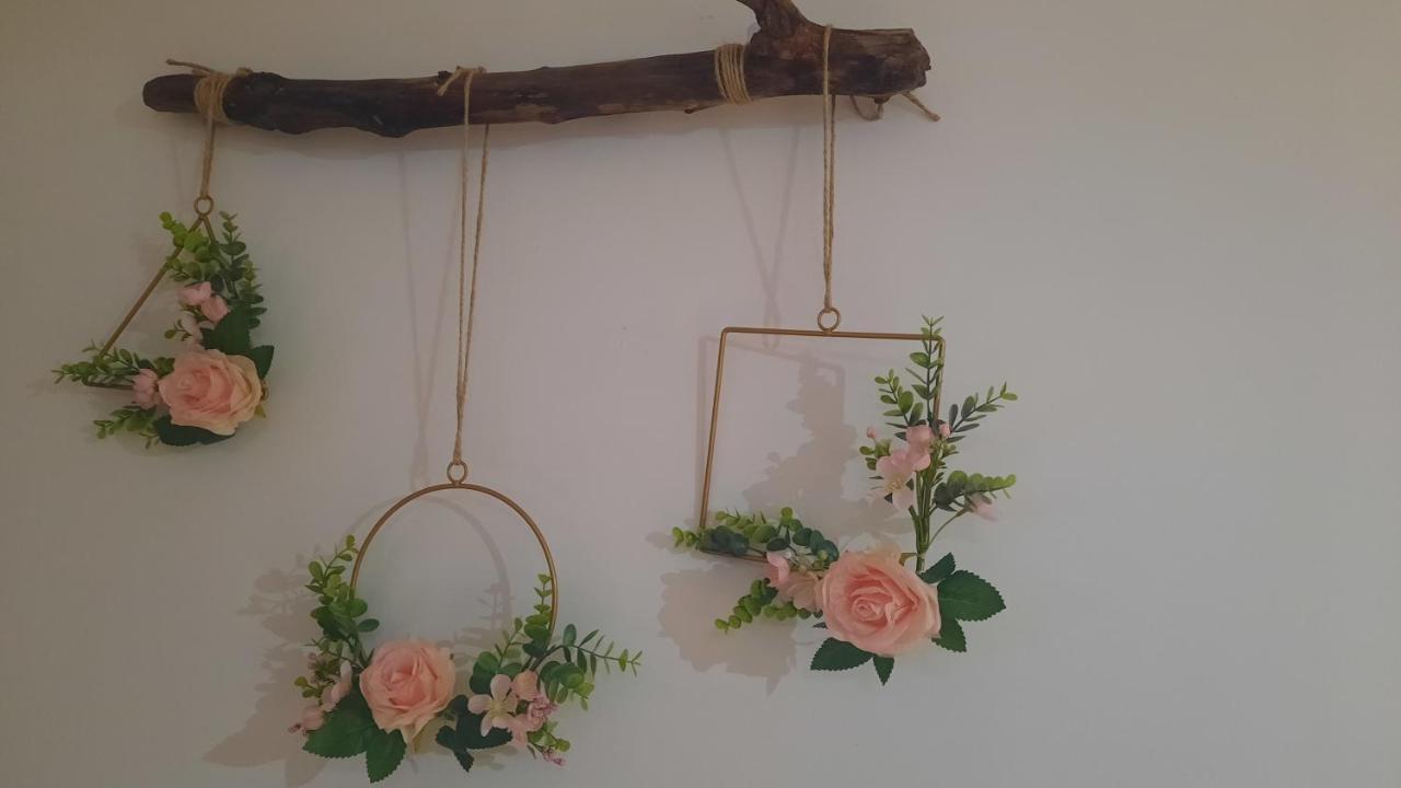 Ana Paula House Daire Aveiro Dış mekan fotoğraf