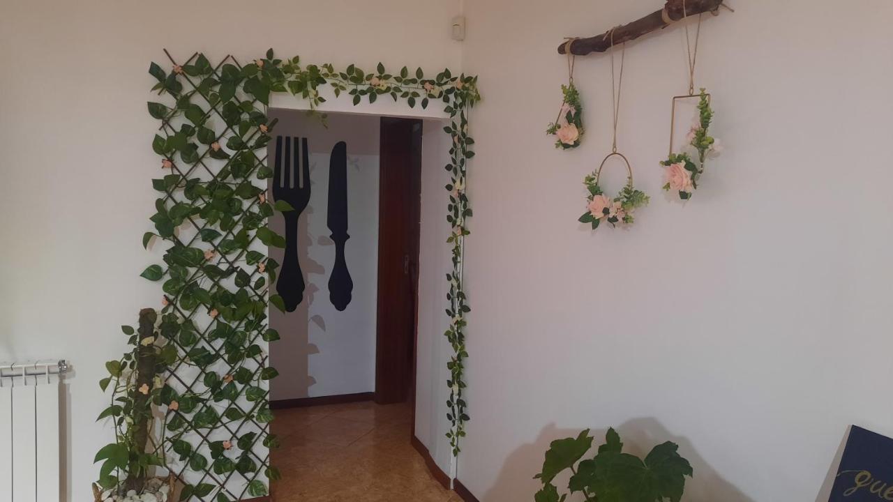 Ana Paula House Daire Aveiro Dış mekan fotoğraf