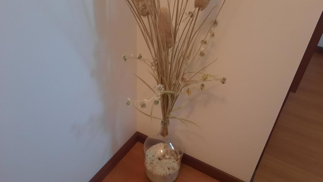Ana Paula House Daire Aveiro Dış mekan fotoğraf